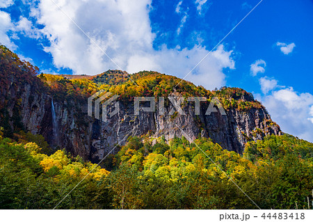(長野県)紅葉の米子大瀑布 不動滝 (長野県)紅葉の米子大瀑布 不動滝 44483418
