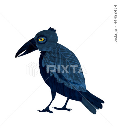Black raven.Cartoon illustration on white backdrop 44483454