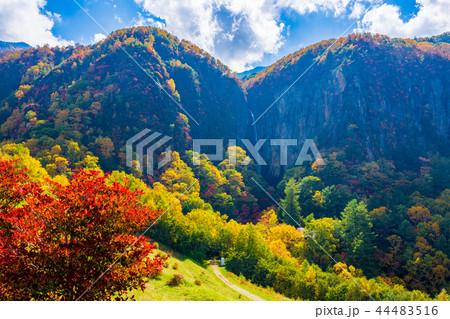 (長野県)米子大瀑布 米子鉱山跡地 紅葉 (長野県)米子大瀑布 米子鉱山跡地 紅葉 44483516