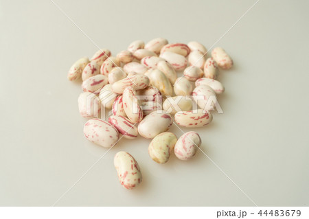 インゲン 多数 実 44483679