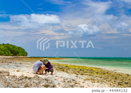 沖縄竹富島 カイジ浜 星砂を探す人 沖縄竹富島 カイジ浜 星砂を探す人 44484132
