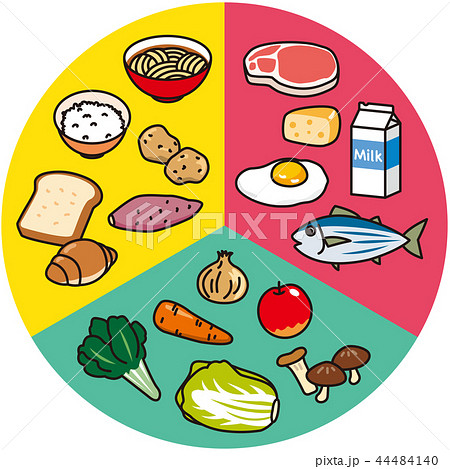栄養素 三色食品群のイラスト素材