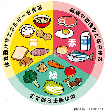 栄養素 三色食品群のイラスト素材