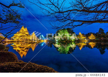 金沢 兼六園 雪吊 リフレクションの写真素材