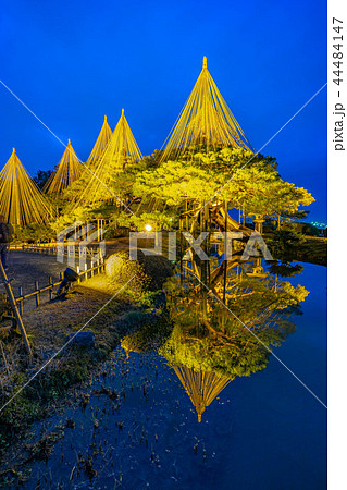 金沢　兼六園　雪吊　リフレクション 44484147