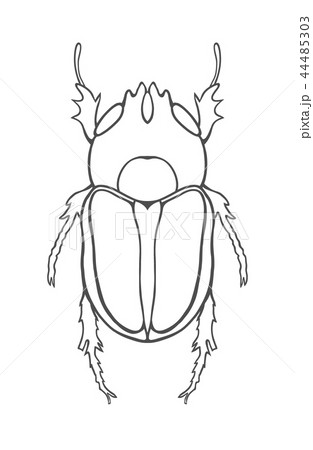 Big Insect Line art 44485303