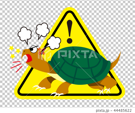 カミツキガメのイラスト 44485622