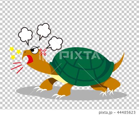 カミツキガメのイラスト 44485623