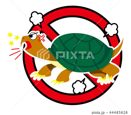 カミツキガメのイラストのイラスト素材