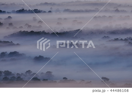 雲海の釧路湿原 44486108