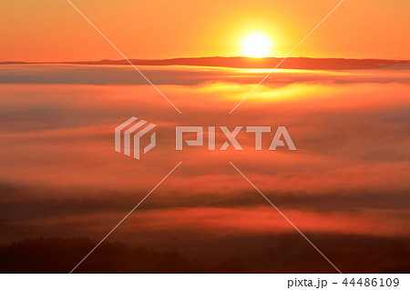 雲海の釧路湿原 44486109