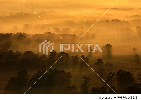 雲海の釧路湿原 雲海の釧路湿原 44486111