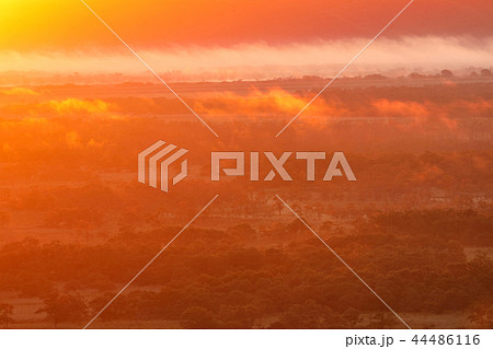 雲海の釧路湿原 44486116