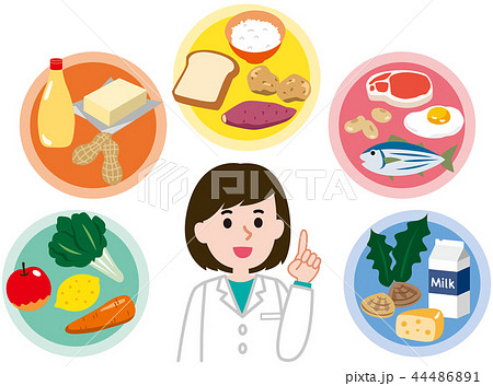 五大栄養素　栄養バランス 44486891