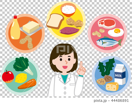 五大栄養素　栄養バランス 44486891