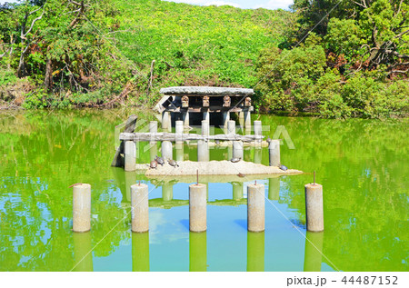 大阪　いたすけ古墳（世界文化遺産） 44487152