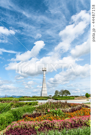 ひまわりの丘公園 44487158