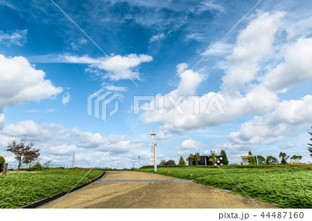 ひまわりの丘公園 44487160