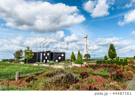 ひまわりの丘公園 44487161