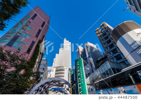 渋谷 道玄坂上交番前の風景 44487500