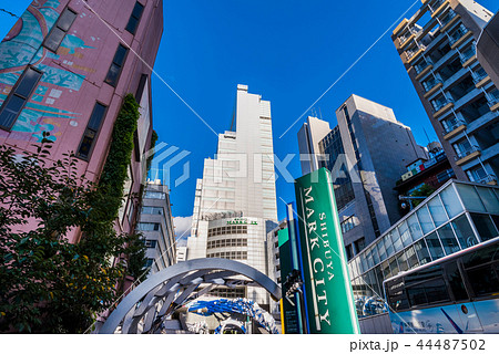 渋谷 道玄坂上交番前の風景の写真素材