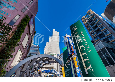 渋谷 道玄坂上交番前の風景の写真素材