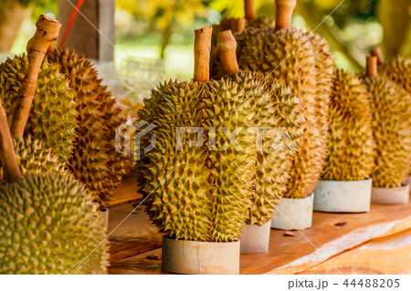Tropic fruit durian on market table. Tropic fruit durian on market table. 44488205