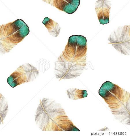 Seamless pattern of feathers in watercolor style Seamless pattern of feathers in watercolor style 44488892