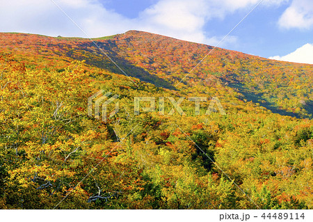 いわかがみ平から栗駒山の写真素材