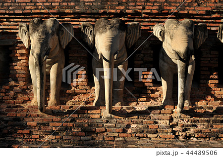 Wat Chang lom, elephant statues Historical Park 44489506