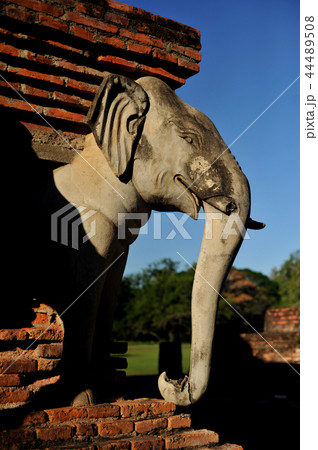 Wat Chang lom, elephant statues Historical Park 44489508