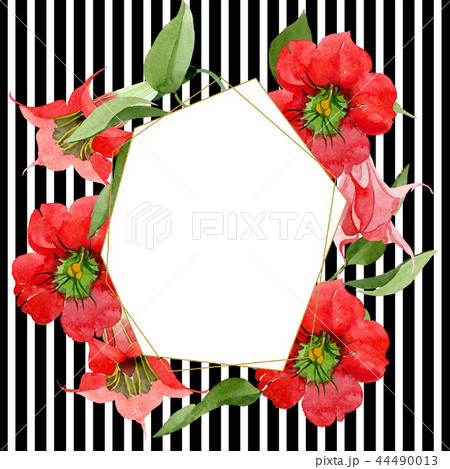 Watercolor red brugmansia flower. Floral botanical flower. Frame border ornament square. 44490013