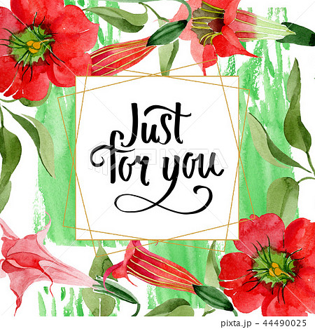 Watercolor red brugmansia flower. Floral botanical flower. Frame border ornament square. Watercolor red brugmansia flower. Floral botanical flower. Frame border ornament square. 44490025