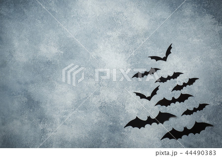 Halloween concept. black paper bats on grey backgr 44490383