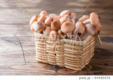 Mushrooms raw honeydew in a straw basket Mushrooms raw honeydew in a straw basket 44490459