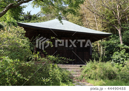 鎌倉古寺の不動堂 44490488