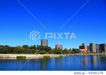 岡崎市　都市風景 44491176
