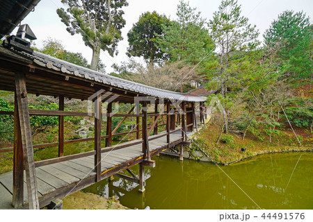 冬の京都　高台寺、臥龍廊（がりょうろう） 44491576