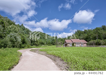 田畑 風景 空 44491762