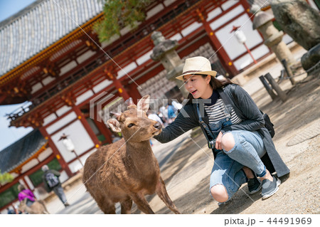 a female photographer touching the cute deer 44491969