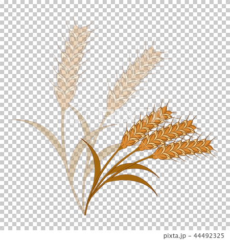 麦の穂のイラストのイラスト素材