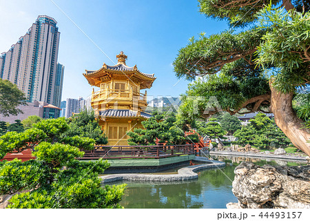 香港　南蓮園池 蓮池・圓満閣 44493157