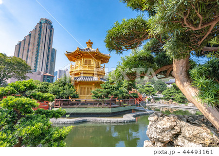 香港　南蓮園池 蓮池・圓満閣 44493161