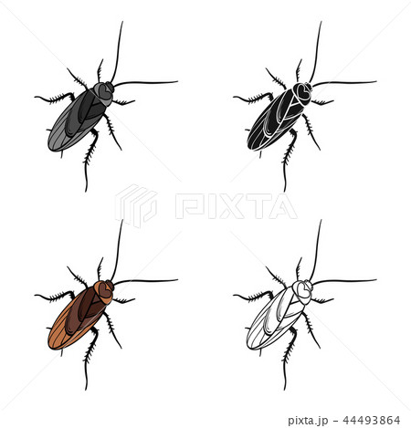 A mustachioed cockroach. Arthropod insect, cockroach single icon in cartoon style vector symbol 44493864