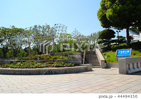 八幡屋公園/大阪府大阪市港区田中3 八幡屋公園/大阪府大阪市港区田中3 44494350