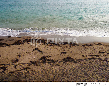 海岸 海岸 44494825