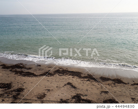 海 海 44494830