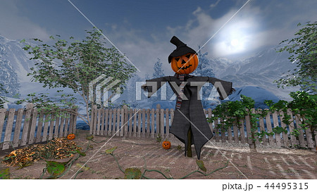 かぼちゃのカカシ かぼちゃのカカシ 44495315