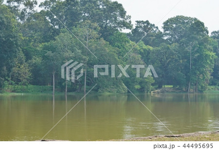 View from Sra Srang of Angkor monument in Cambodia View from Sra Srang of Angkor monument in Cambodia 44495695