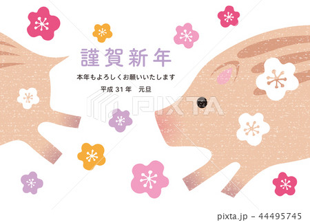 年賀状 2019年 亥 瓜坊と梅の花 年賀状 2019年 亥 瓜坊と梅の花 44495745